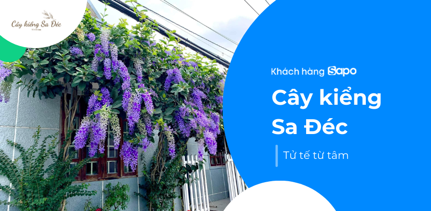 Cây kiểng Sa Đéc - Tử tế từ tâm, tận tình trong từng sản phẩm