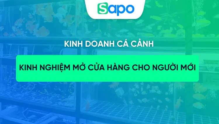 Kinh doanh cá cảnh: Kinh nghiệm mở cửa hàng cho người mới